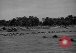 Standbild wilden Ponys Chincoteague Island Virginia USA, 1939, aus Sekunde 32 historischem Filmmaterial Videoclip 65675055162