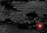 Standbild wilden Ponys Chincoteague Island Virginia USA, 1939, aus Sekunde 33 historischem Filmmaterial Videoclip 65675055162