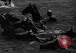 Standbild wilden Ponys Chincoteague Island Virginia USA, 1939, aus Sekunde 35 historischem Filmmaterial Videoclip 65675055162