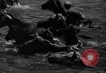 Standbild wilden Ponys Chincoteague Island Virginia USA, 1939, aus Sekunde 36 historischem Filmmaterial Videoclip 65675055162