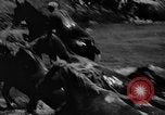 Standbild wilden Ponys Chincoteague Island Virginia USA, 1939, aus Sekunde 39 historischem Filmmaterial Videoclip 65675055162