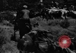 Standbild wilden Ponys Chincoteague Island Virginia USA, 1939, aus Sekunde 41 historischem Filmmaterial Videoclip 65675055162