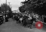 Standbild wilden Ponys Chincoteague Island Virginia USA, 1939, aus Sekunde 43 historischem Filmmaterial Videoclip 65675055162