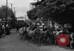 Standbild wilden Ponys Chincoteague Island Virginia USA, 1939, aus Sekunde 46 historischem Filmmaterial Videoclip 65675055162