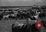 Standbild wilden Ponys Chincoteague Island Virginia USA, 1939, aus Sekunde 52 historischem Filmmaterial Videoclip 65675055162