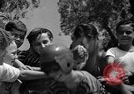 Standbild Autorennen North Hollywood California USA, 1939, aus Sekunde 58 historischem Filmmaterial Videoclip 65675055164