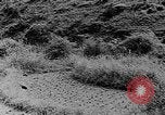 Image of Japanese bombing Chungking China, 1939, second 55 stock footage video 65675055168