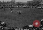 Immagine di Merryman II corsa di cavalli L'Aintree England Regno Unito, 1960, secondo 7 filmato di repertorio 65675055174