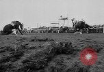 Immagine di Merryman II corsa di cavalli L'Aintree England Regno Unito, 1960, secondo 53 filmato di repertorio 65675055174