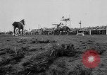 Immagine di Merryman II corsa di cavalli L'Aintree England Regno Unito, 1960, secondo 54 filmato di repertorio 65675055174