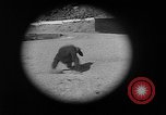 Immagine di Combinazione di revolver movie camera United States USA, 1935, secondo 17 filmato di repertorio 65675055177