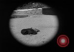 Immagine di Combinazione di revolver movie camera United States USA, 1935, secondo 18 filmato di repertorio 65675055177