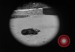 Immagine di Combinazione di revolver movie camera United States USA, 1935, secondo 19 filmato di repertorio 65675055177