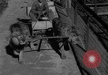 Standbild Lions Los Angeles California USA, 1935, aus Sekunde 11 historischem Filmmaterial Videoclip 65675055188