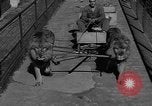 Standbild Lions Los Angeles California USA, 1935, aus Sekunde 13 historischem Filmmaterial Videoclip 65675055188