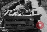Standbild Lions Los Angeles California USA, 1935, aus Sekunde 15 historischem Filmmaterial Videoclip 65675055188
