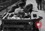 Standbild Lions Los Angeles California USA, 1935, aus Sekunde 16 historischem Filmmaterial Videoclip 65675055188