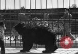 Standbild Lions Los Angeles California USA, 1935, aus Sekunde 19 historischem Filmmaterial Videoclip 65675055188