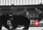Standbild Lions Los Angeles California USA, 1935, aus Sekunde 22 historischem Filmmaterial Videoclip 65675055188