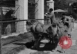 Standbild Lions Los Angeles California USA, 1935, aus Sekunde 23 historischem Filmmaterial Videoclip 65675055188