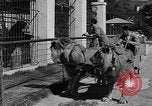 Standbild Lions Los Angeles California USA, 1935, aus Sekunde 24 historischem Filmmaterial Videoclip 65675055188