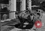 Standbild Lions Los Angeles California USA, 1935, aus Sekunde 25 historischem Filmmaterial Videoclip 65675055188