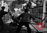 Standbild Lions Los Angeles California USA, 1935, aus Sekunde 37 historischem Filmmaterial Videoclip 65675055188