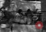 Standbild Lions Los Angeles California USA, 1935, aus Sekunde 40 historischem Filmmaterial Videoclip 65675055188