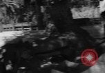 Standbild Lions Los Angeles California USA, 1935, aus Sekunde 41 historischem Filmmaterial Videoclip 65675055188