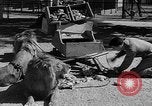 Standbild Lions Los Angeles California USA, 1935, aus Sekunde 44 historischem Filmmaterial Videoclip 65675055188