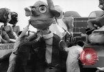 Standbild Bildnisse Deutschland, 1961, aus Sekunde 27 historischem Filmmaterial Videoclip 65675055189
