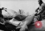 Standbild Bildnisse Deutschland, 1961, aus Sekunde 48 historischem Filmmaterial Videoclip 65675055189