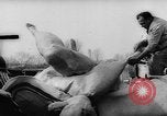 Standbild Bildnisse Deutschland, 1961, aus Sekunde 49 historischem Filmmaterial Videoclip 65675055189