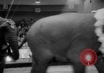 Immagine di Circo dei fratelli Ringling Washington DC USA, 1962, secondo 29 filmato di repertorio 65675055200