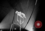Immagine di Circo dei fratelli Ringling Washington DC USA, 1962, secondo 37 filmato di repertorio 65675055200