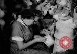 Image capots de Pâques United States USA, 1962, de la seconde 11 séquences d'archives historiques vidéo 65675055201