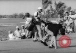 Immagine di Doral Open Golf Miami Florida USA, 1962, secondo 62 filmato di repertorio 65675055202