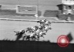 Image of race horse Time Clock Miami Florida USA, 1934, second 28 stock footage video 65675055213