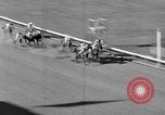 Image of race horse Time Clock Miami Florida USA, 1934, second 61 stock footage video 65675055213