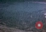 Image of strafing Germany, 1945, second 42 stock footage video 65675055216