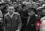 Image interview de prisonniers Dachau Allemagne, 1945, de la seconde 13 séquences d'archives historiques vidéo 65675055225