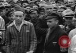 Image interview de prisonniers Dachau Allemagne, 1945, de la seconde 15 séquences d'archives historiques vidéo 65675055225