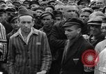 Image interview de prisonniers Dachau Allemagne, 1945, de la seconde 16 séquences d'archives historiques vidéo 65675055225