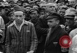Image interview de prisonniers Dachau Allemagne, 1945, de la seconde 17 séquences d'archives historiques vidéo 65675055225