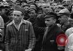 Image interview de prisonniers Dachau Allemagne, 1945, de la seconde 18 séquences d'archives historiques vidéo 65675055225