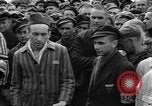 Image interview de prisonniers Dachau Allemagne, 1945, de la seconde 21 séquences d'archives historiques vidéo 65675055225