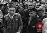 Image interview de prisonniers Dachau Allemagne, 1945, de la seconde 22 séquences d'archives historiques vidéo 65675055225