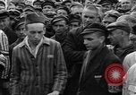 Image interview de prisonniers Dachau Allemagne, 1945, de la seconde 24 séquences d'archives historiques vidéo 65675055225