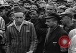 Image interview de prisonniers Dachau Allemagne, 1945, de la seconde 25 séquences d'archives historiques vidéo 65675055225