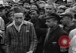Image interview de prisonniers Dachau Allemagne, 1945, de la seconde 26 séquences d'archives historiques vidéo 65675055225